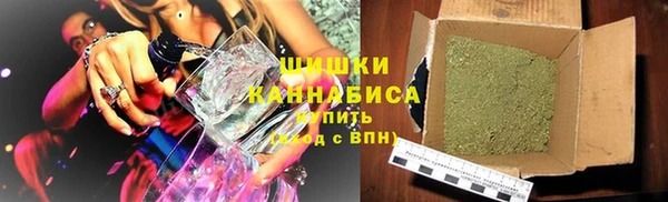 сатива Горняк