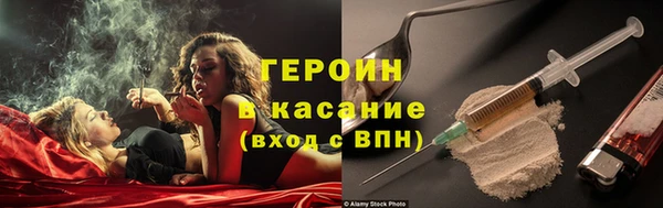сатива Горняк