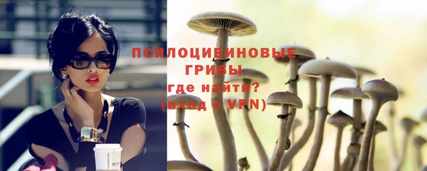 сатива Горняк
