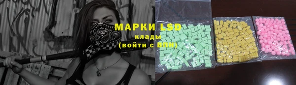 сатива Горняк