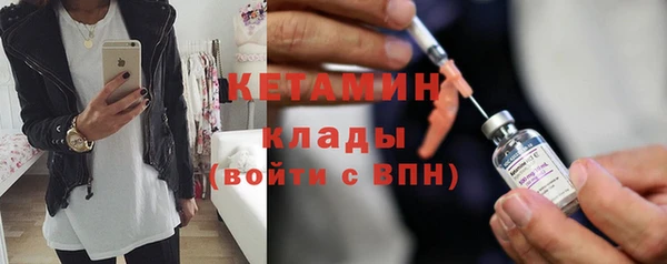 сатива Горняк