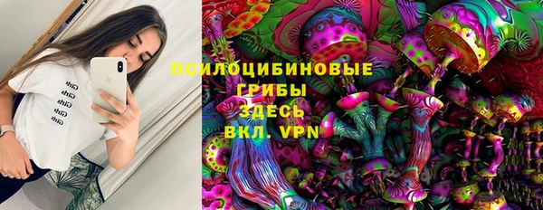 трава Горно-Алтайск
