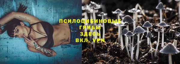 трава Горно-Алтайск