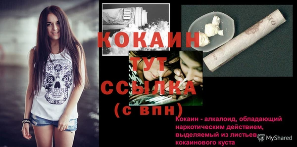 сатива Горняк