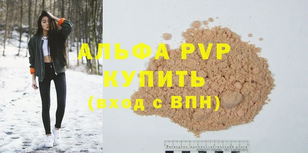 сатива Горняк