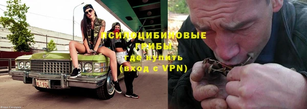 метадон Горнозаводск