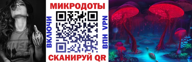 Псилоцибиновые грибы мицелий  hydra зеркало  площадка официальный сайт  Дагестанские Огни 